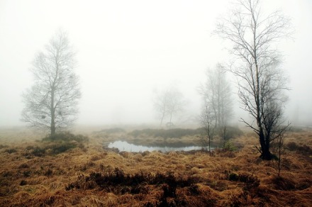Nebelmoor | 365tageasatzaday