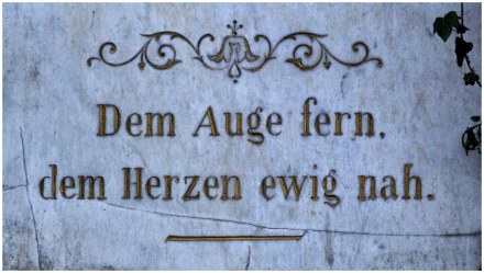 November 2019, Alter Harburger Friedhof | 365tageasatzaday