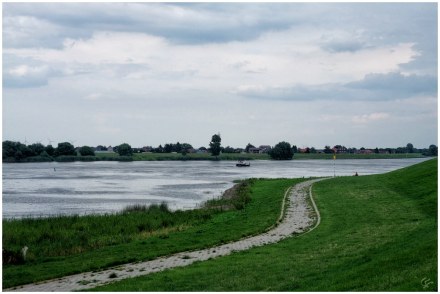 Die Elbe bei Wuhlenburg | Wegimpression Seeveniederung | 365tageasatzaday